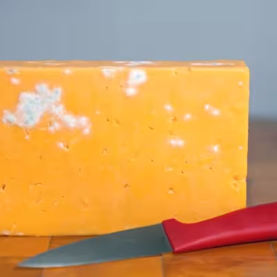 cheese