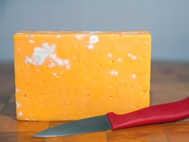 cheese
